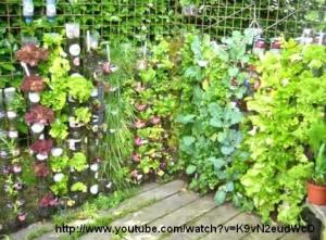 Bottle tower gardening