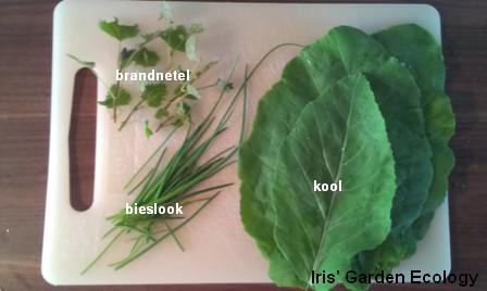 brandnetel, kool en bieslook2