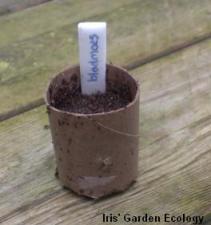 wc-rol potje ingezaaid