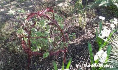 plantensteun 2