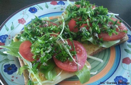 broodje pittig gezond1