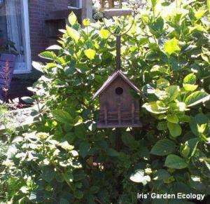 vogelhuisje in struiken