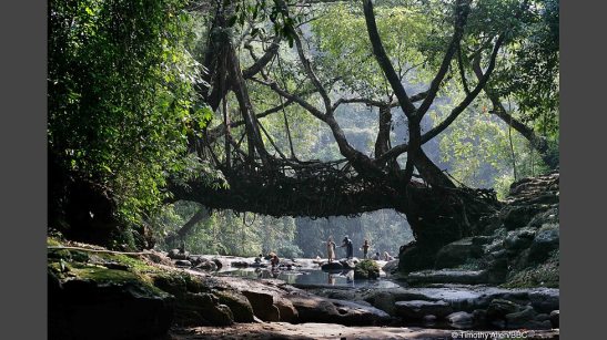 Scene van Human Planet (bron: www.bbc.co.uk)
