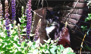 Hèhè, de opzichter is eindelijk tevreden!