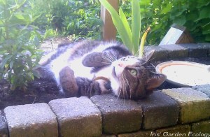 'Inspectie' tijdens beplanten