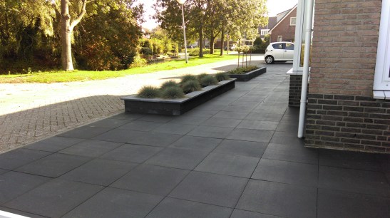 Deze 3 voortuinen (de auto ontneemt hier de 3e uit het zicht) heb ik tot 'de begraafplaats' gedoopt. 