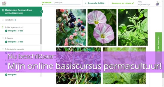 Begin meteen met groeien!