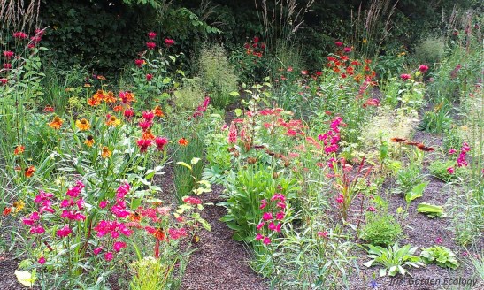 droge tuin beplanting