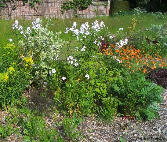 Beplanting bij Landgoed Beeckestijn een aantal jaar geleden.