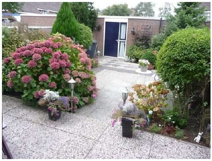 Achtertuin oorspronkelijk