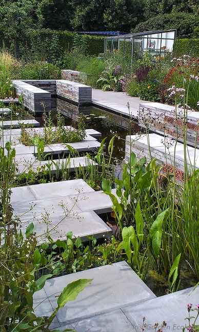 vijver groen planten