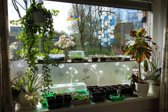 meer ruimte in vesterbank aub