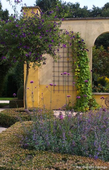 redelijk droge, warme beplanting