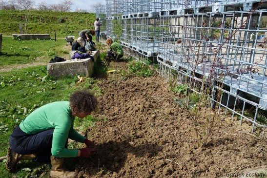 Wilde Weelde wereld druk bezig