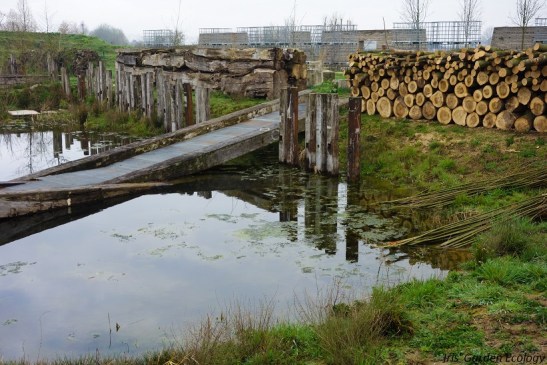 Wilde weelde wereld1