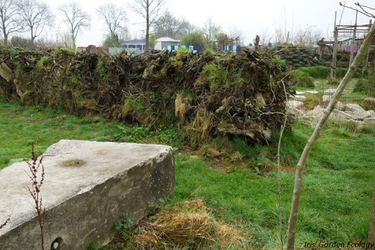 Wilde Weelde wereld3