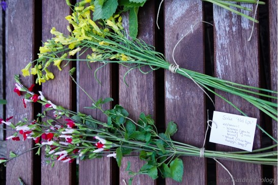 kruiden bosjes eetbaar boeket kaartje