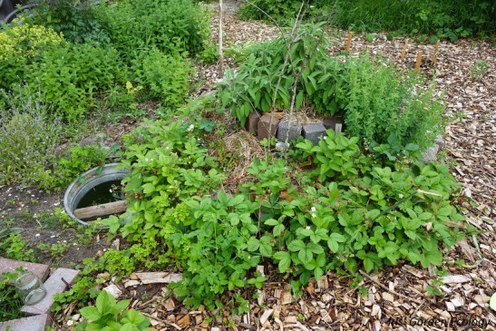 landgoedcamping buiten kruidenspiraal