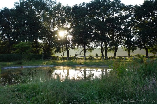 landgoedcamping buiten