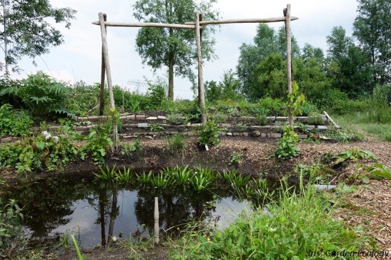 permacultuur tuin mikkelhorst vijver