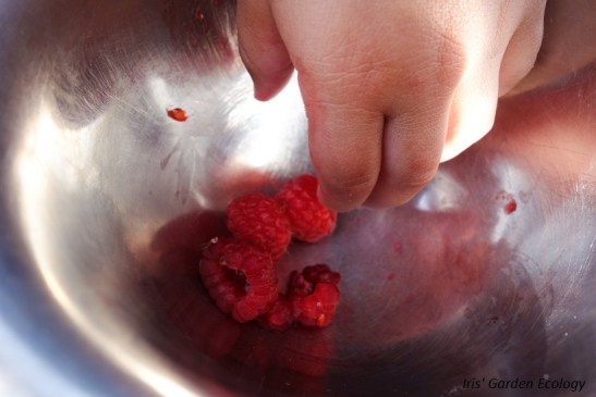 alles is voor bassie