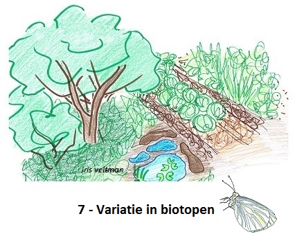Variatie in biotopen: zonnige bloemen, bloemrijk grasland, moestuinen, struikgewassen, bossen, modderpoelen, vijvers, kale grond en mulch...
