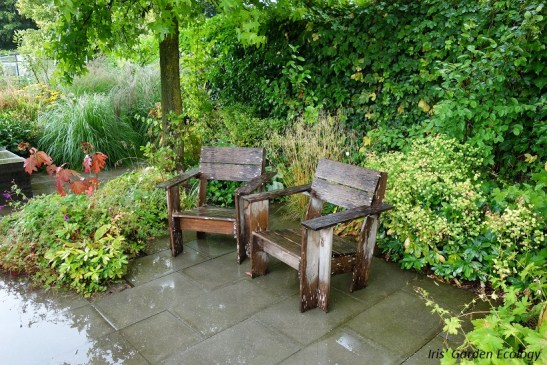 Nope... [De Inclusieve Tuin, Groei&Bloei en Vara's Vroege Vogels in Tuinen van Appeltern]