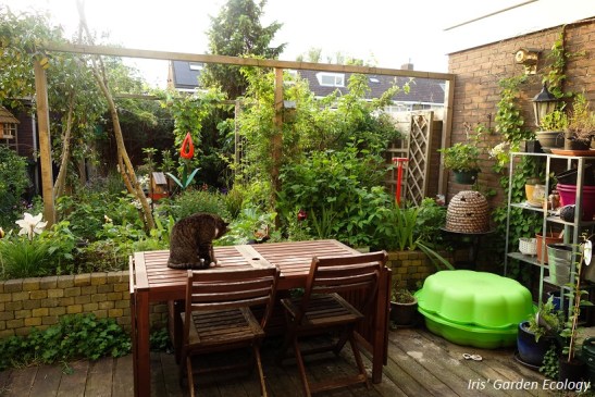 Mijn ecologische, wilde achtertuin