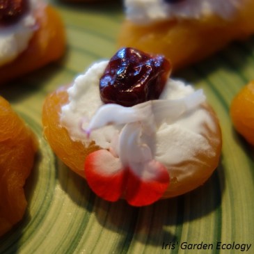 eetbare-bloemen-gebak-hapjes