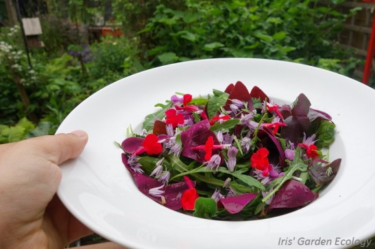 eetbare-bloemen-salade