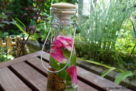 eetbare-bloemen-water-drinken