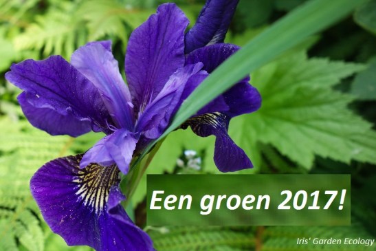 een-groen-2017-iris-garden-ecology-iris