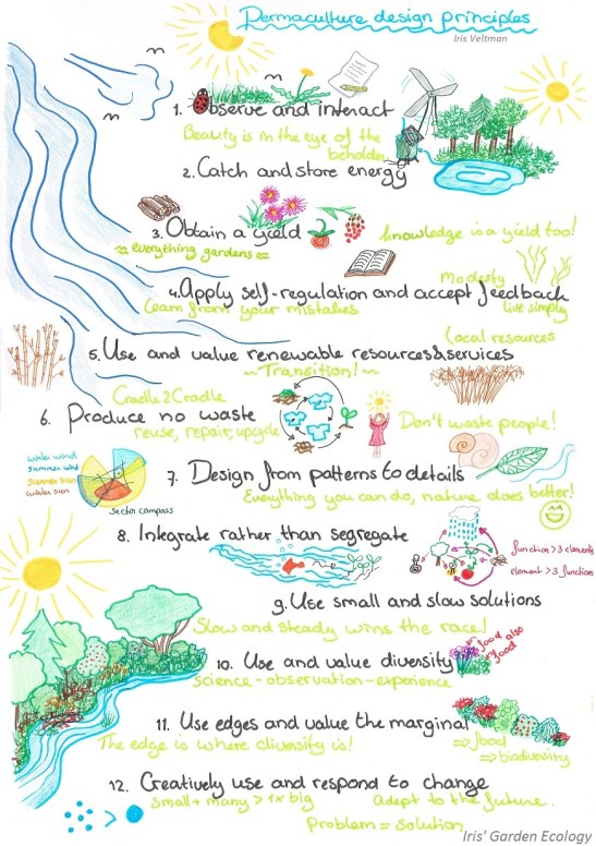 12-permaculture-design-principles-permacultuur-ontwerp-principes