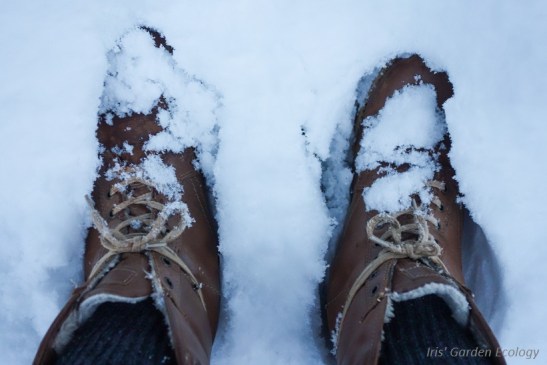 schoenen-in-de-sneeuw