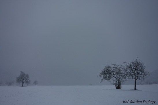 verstild-oneindig-landschap